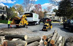 Best Tree Preservation Services  in Seabrook, MD